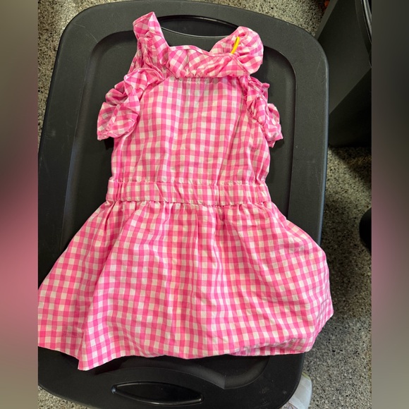 Crewcuts Other - Crewcuts Pink Gingham Dress with Ruffles size 2